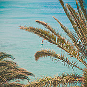 Stand Up Paddling i blått varmt vatten